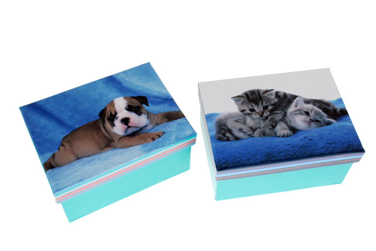 Кутии картон с кученца и котенца 6x8.8X12CM