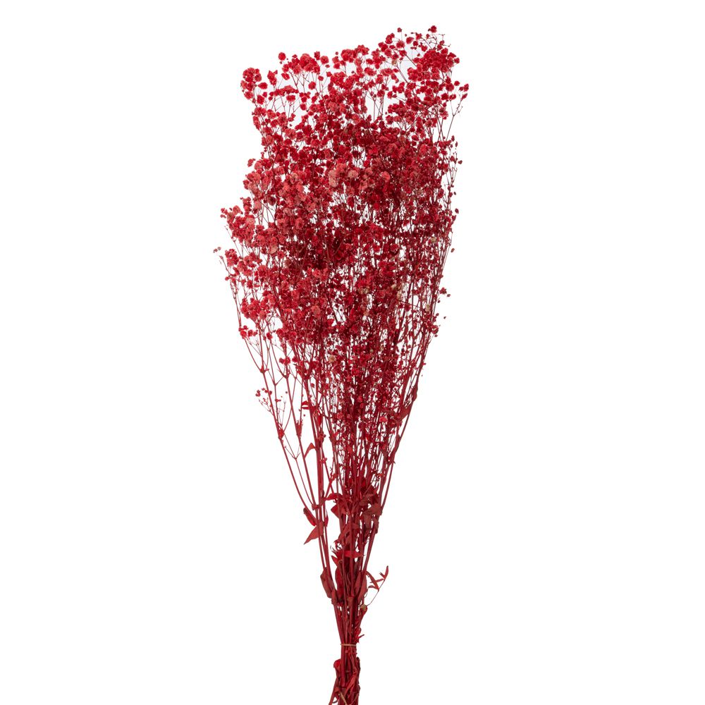  БУКЕТ ОТ ЧЕРВЕНИ ГИПСОФИЛИИ, 120 ГР.