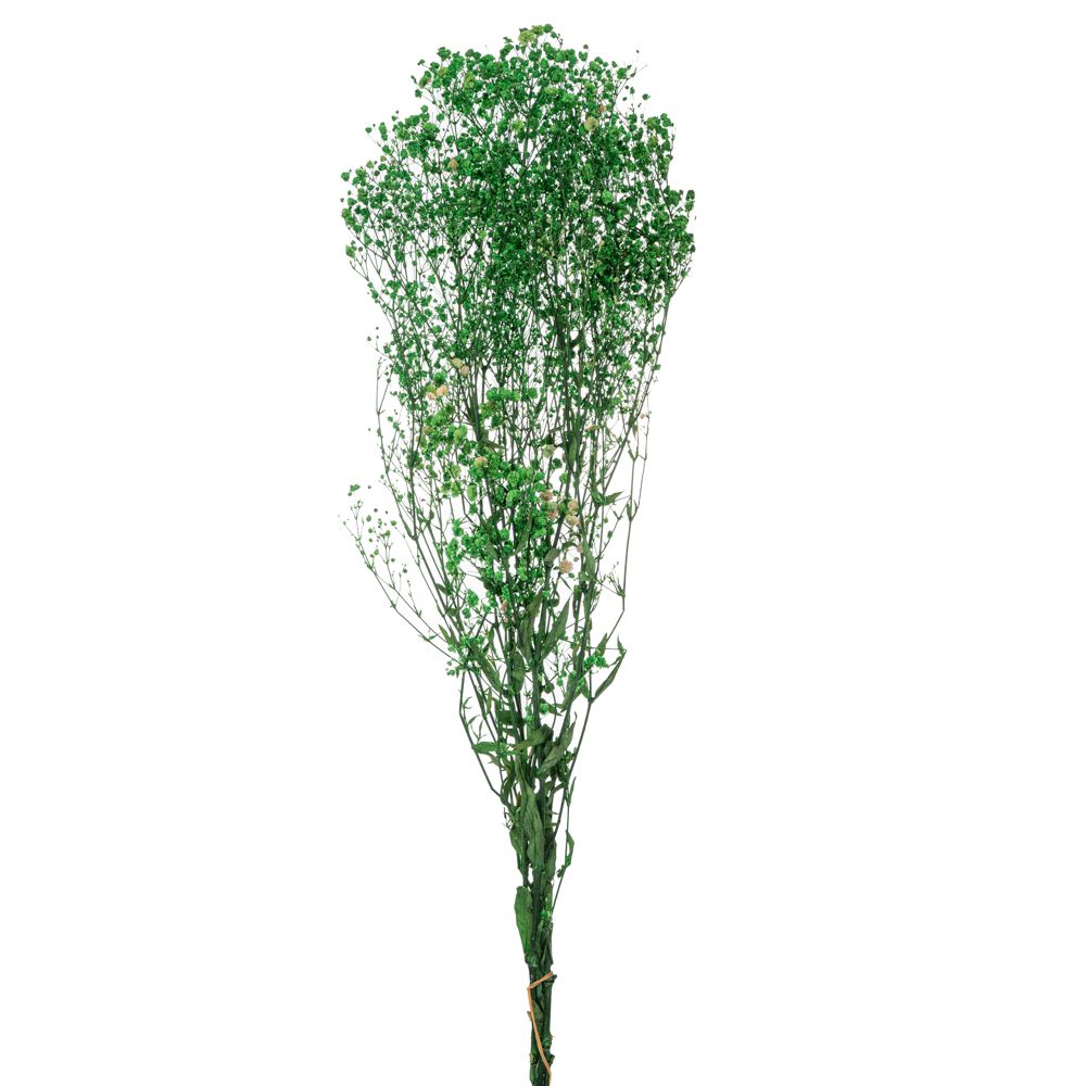  БУКЕТ ОТ ЗЕЛЕНИ ГИПСОФИЛИИ 120 ГР.