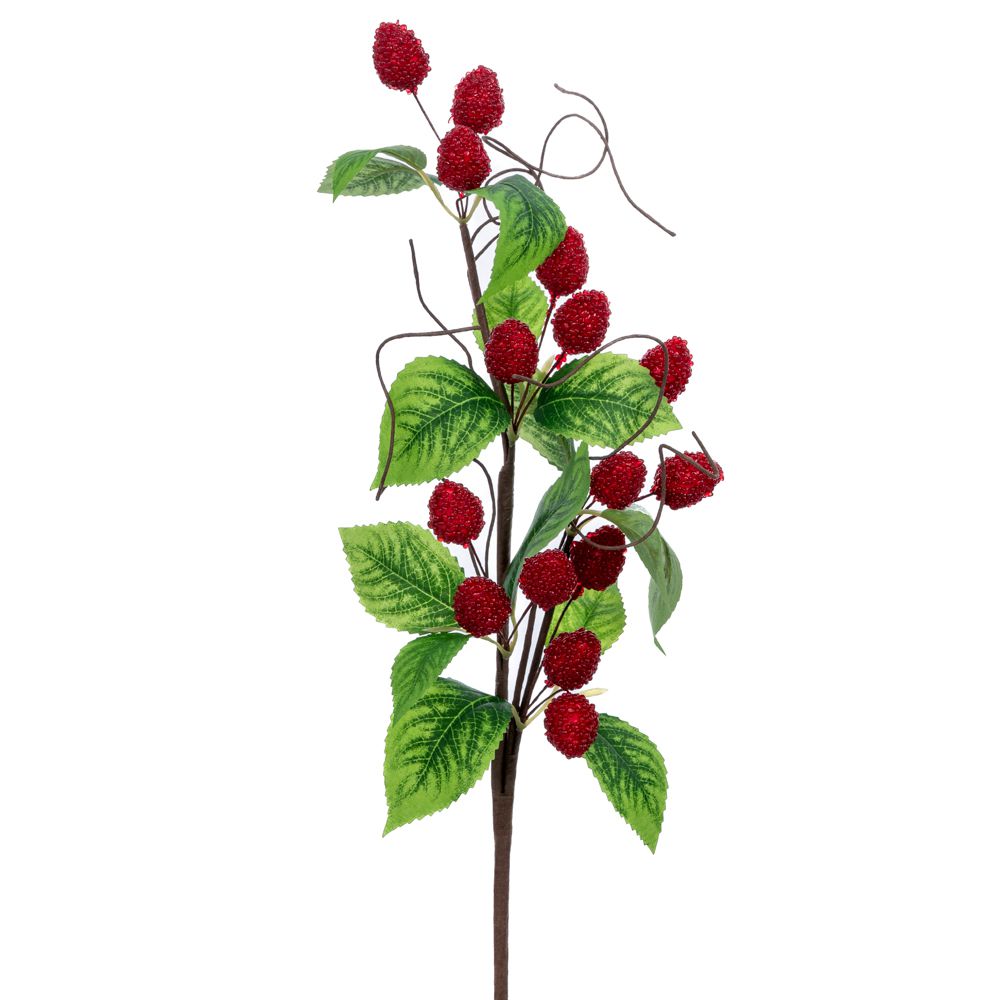  СТЕБЛО С ЧЕРВЕНИ ПЛОДОВЕ